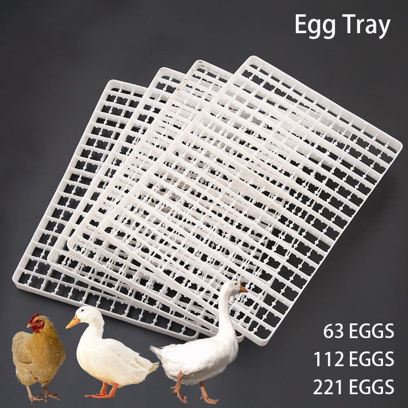 Quail Egg Incubator - 1 Stuks Eierbak Voor Incubator Automatische