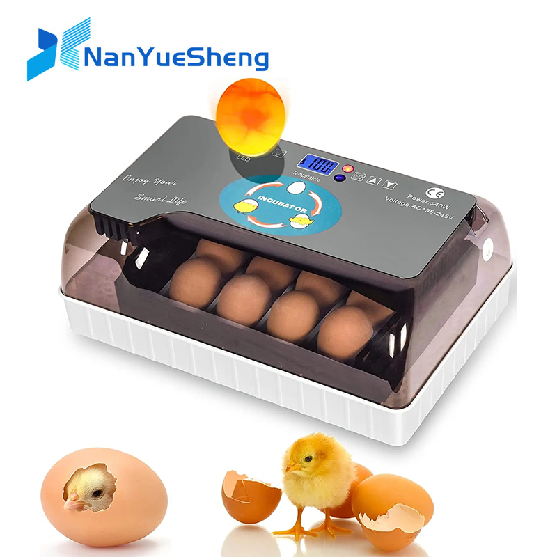 Quail Egg Incubator - Automatische HHD Beste Digitale 12-Kuiken ei