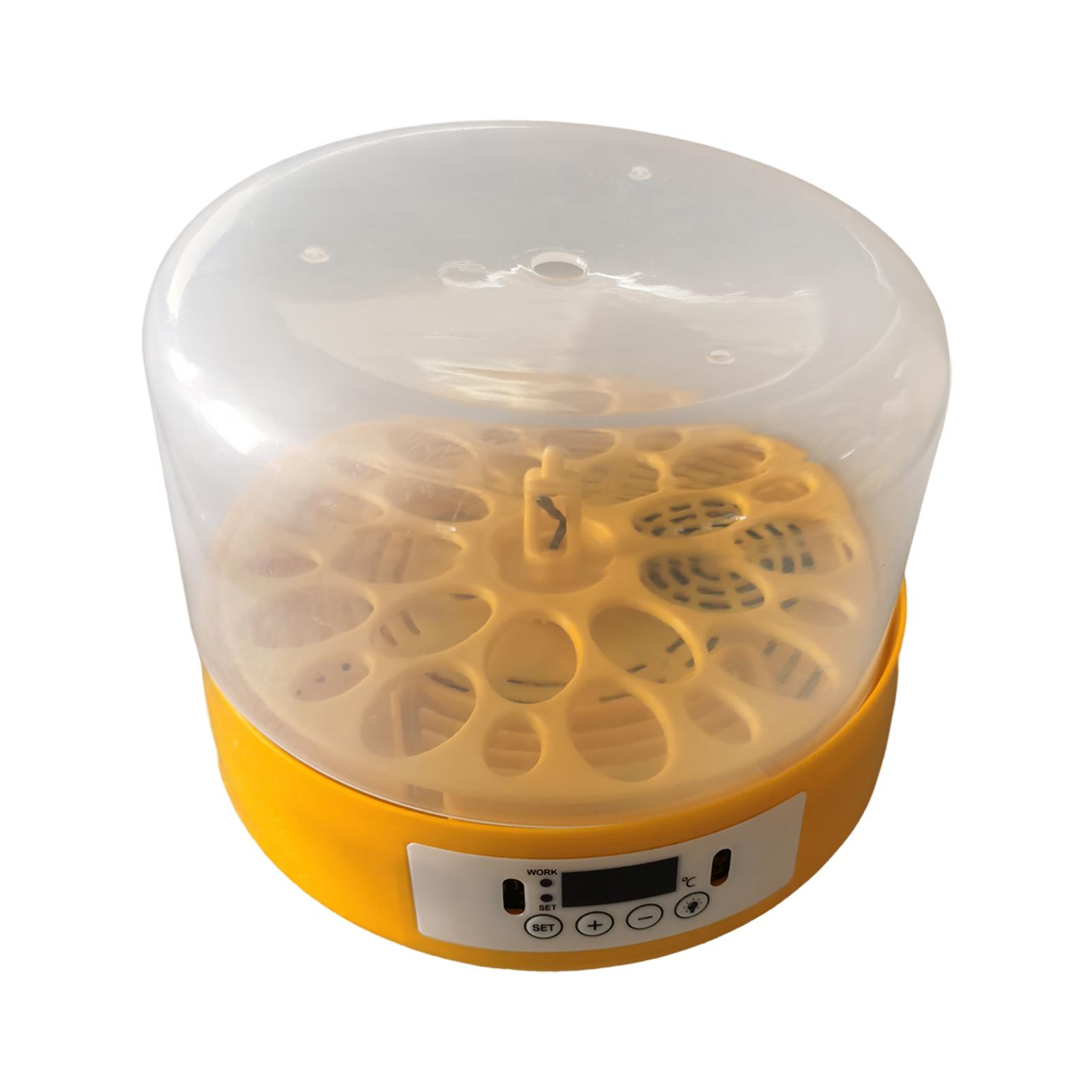 Eierincubator Eierdraaier Eier - Quail Egg Incubator recensie en prijs