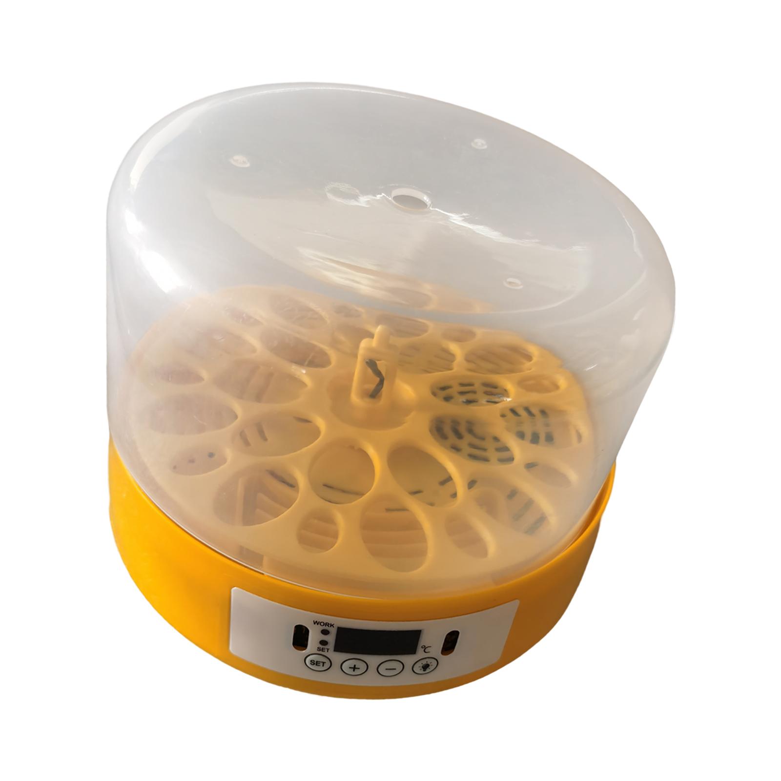 Eierincubator Eierdraaier Eier - Quail Egg Incubator recensie en prijs