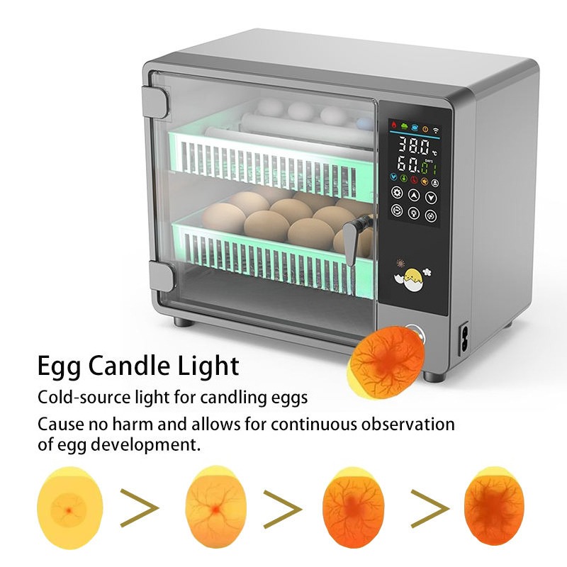 Fabrieksdirect 2026 Volautomat - Quail Egg Incubator recensie en prijs