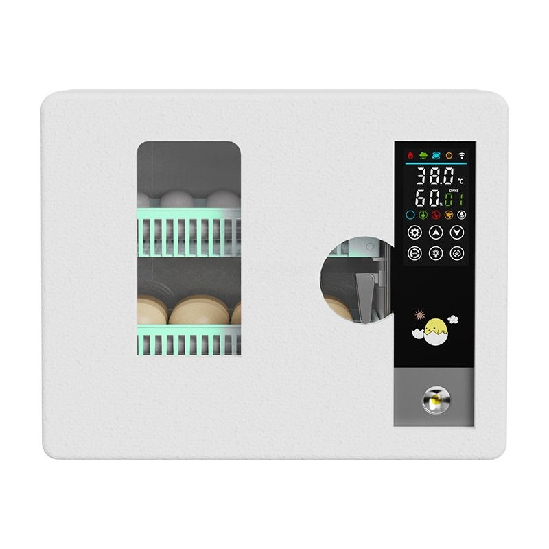 Fabrieksdirect 2026 Volautomat - Quail Egg Incubator recensie en prijs