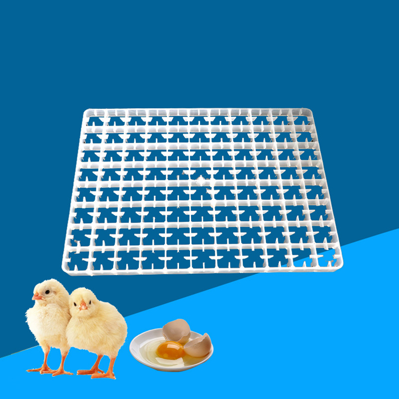 1 Stuks Eierbak Voor Incubator - Quail Egg Incubator recensie en prijs
