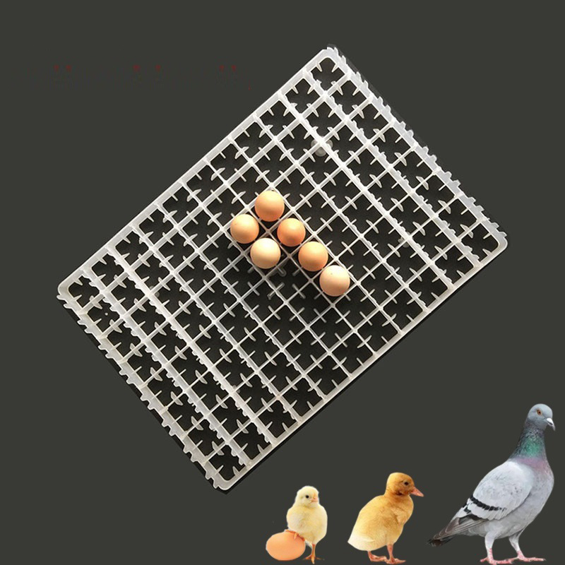 1 Stuks Eierbak Voor Incubator - Quail Egg Incubator recensie en prijs