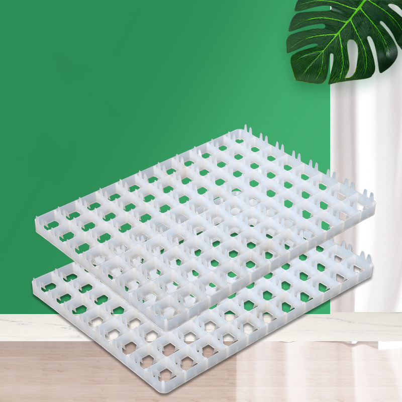 1 Stuks Eierbak Voor Incubator - Quail Egg Incubator recensie en prijs