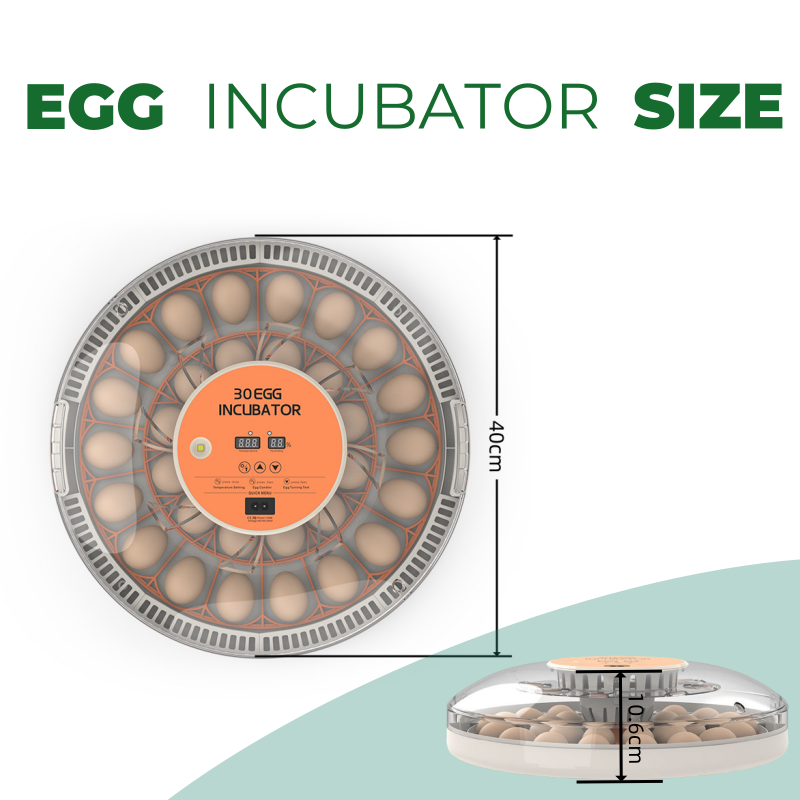 STLF30 Eierenbroedmachine voor - Quail Egg Incubator recensie en prijs