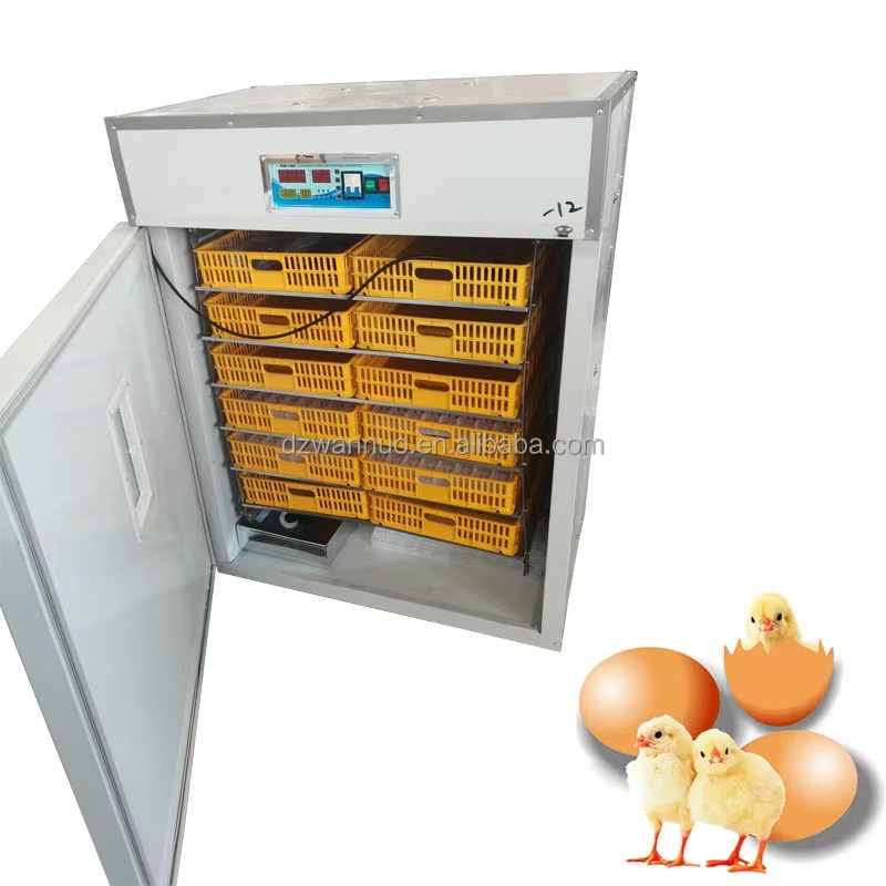 Groothandel Nieuwe Volledig Au - Quail Egg Incubator recensie en prijs