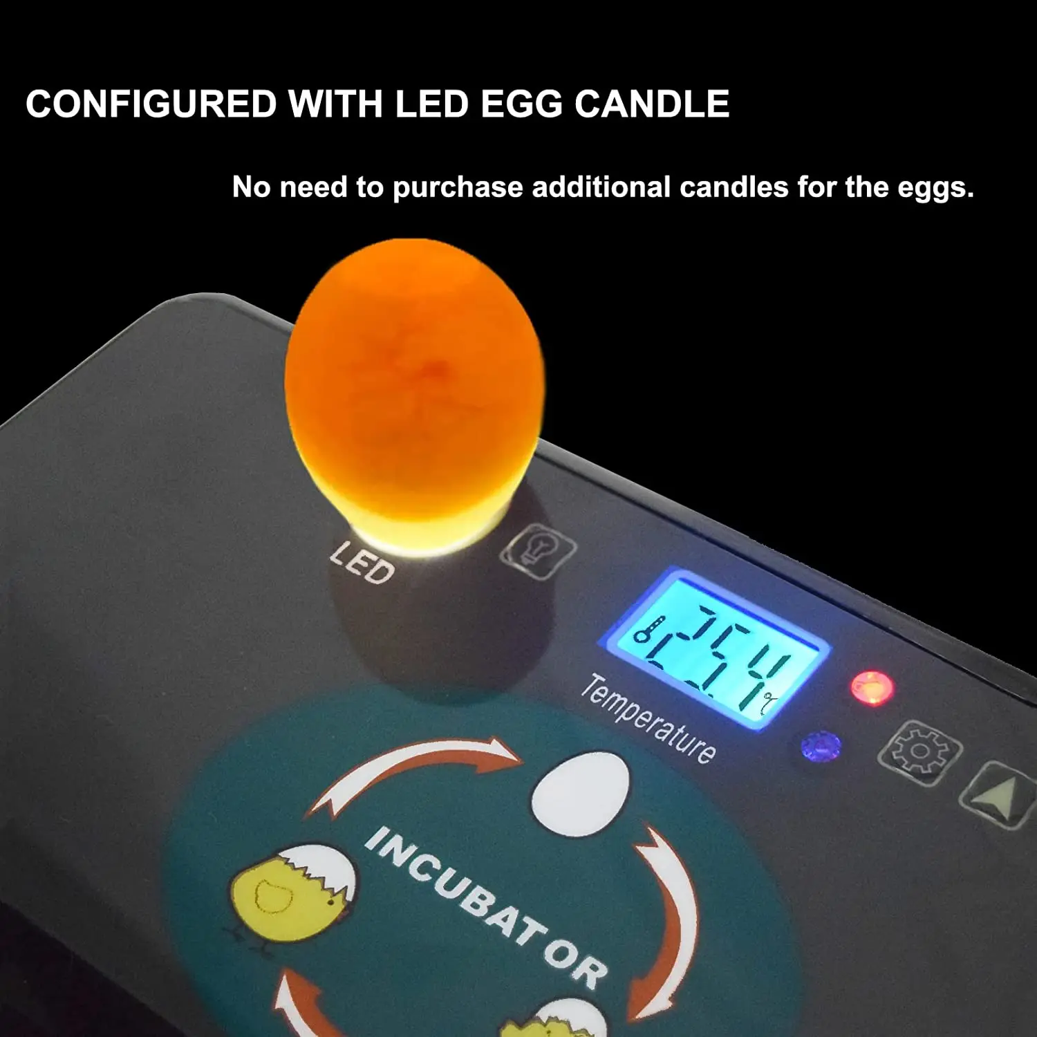 Automatische HHD Beste Digital - Quail Egg Incubator recensie en prijs