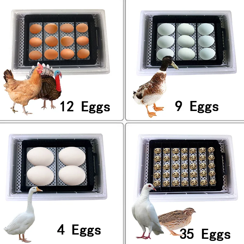 Automatische HHD Beste Digital - Quail Egg Incubator recensie en prijs