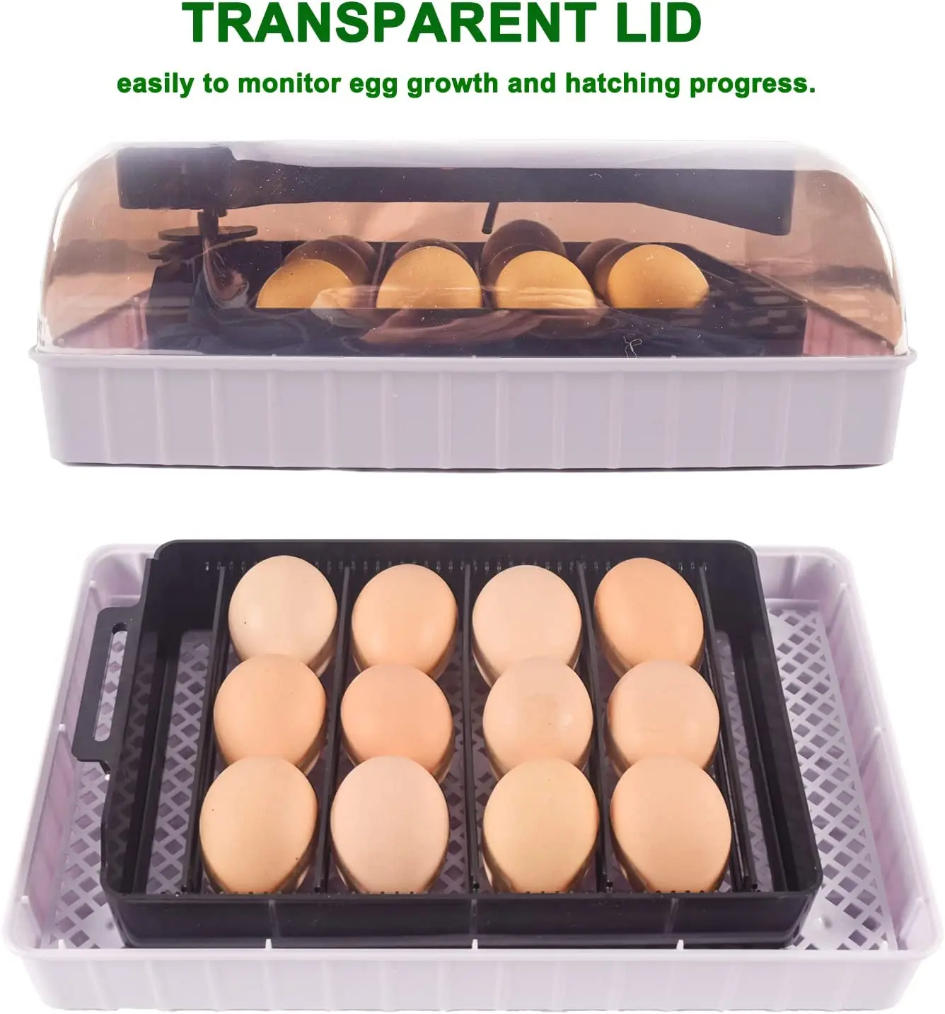 Automatische HHD Beste Digital - Quail Egg Incubator recensie en prijs