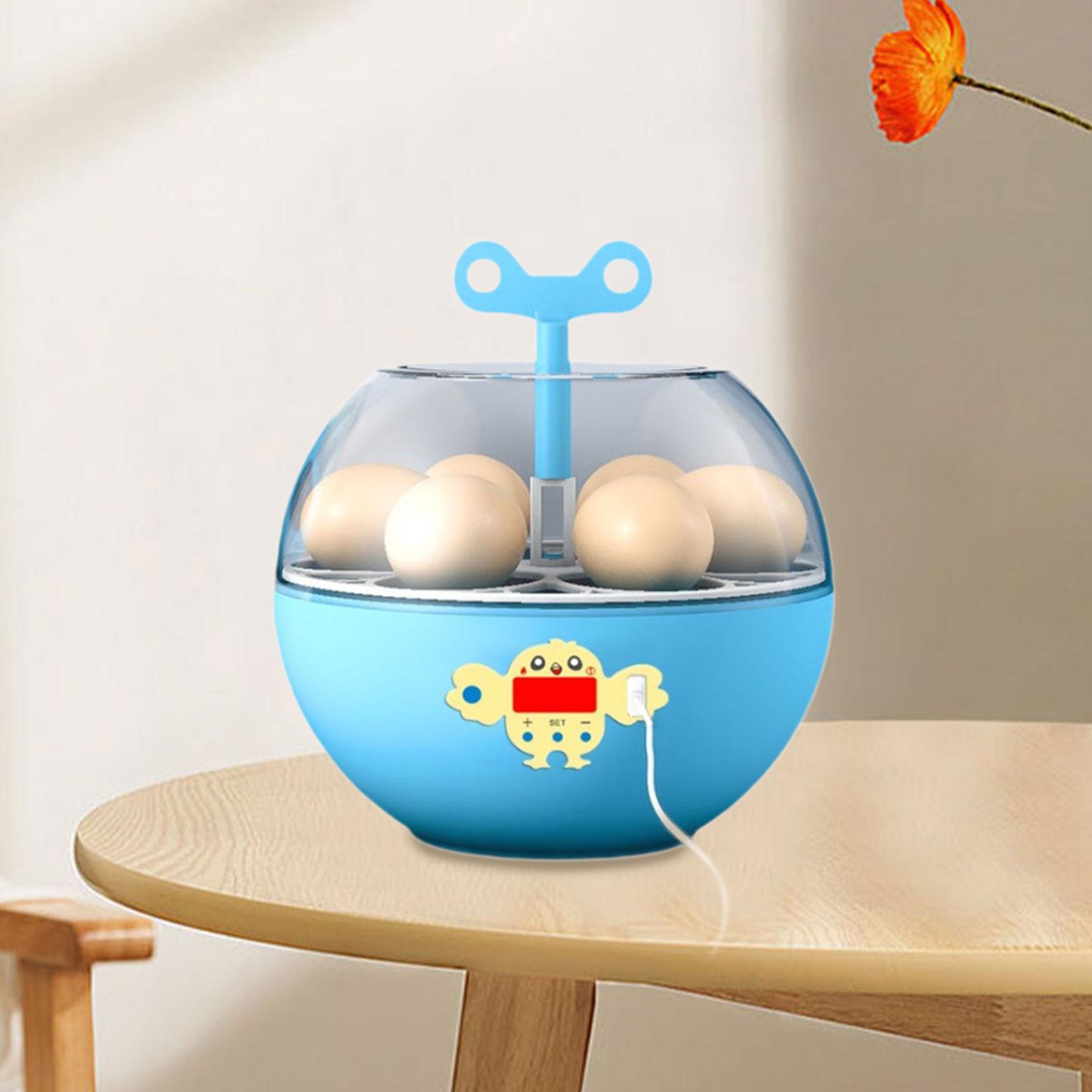 6 Eieren Incubator Mini Zichtb - Quail Egg Incubator recensie en prijs