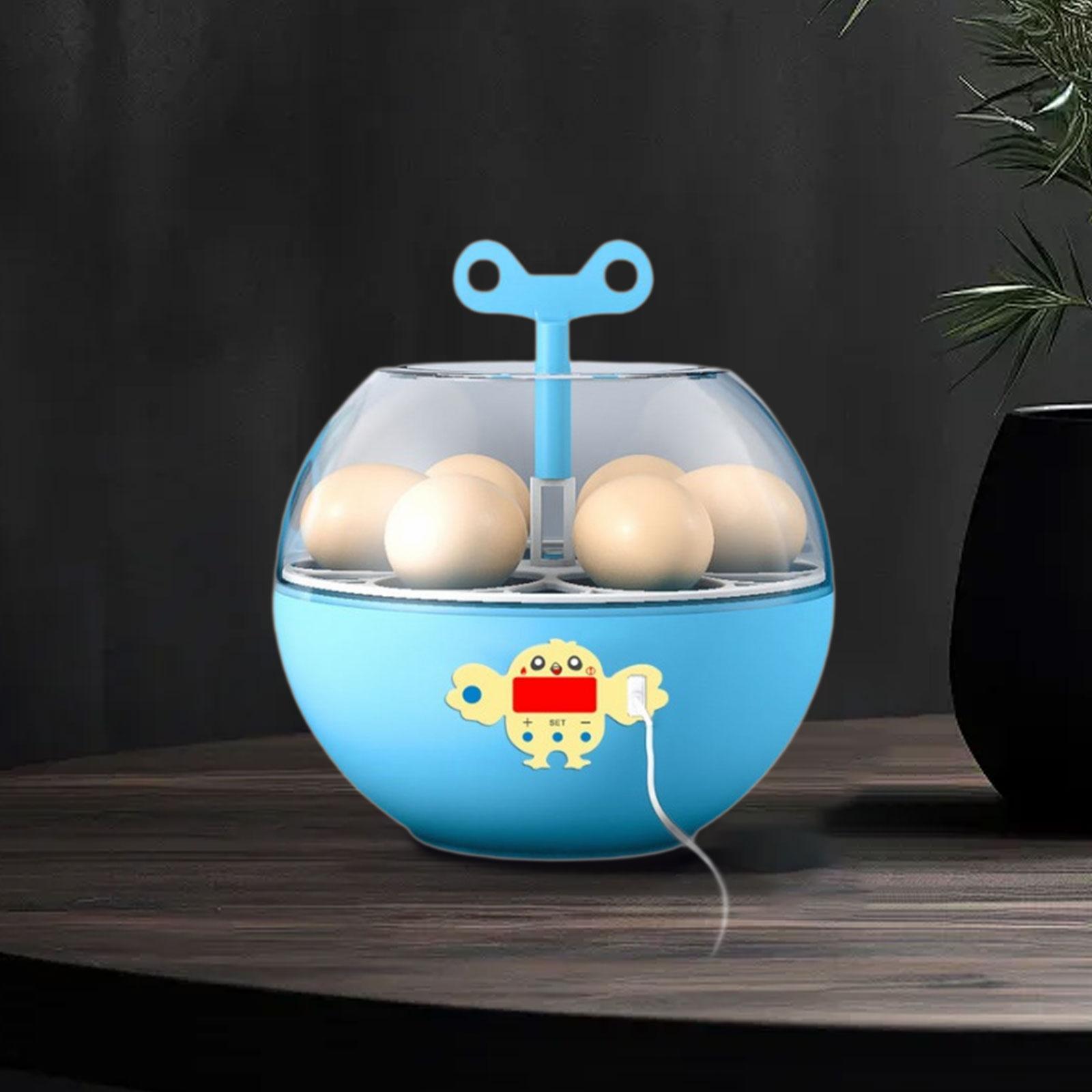 6 Eieren Incubator Mini Zichtb - Quail Egg Incubator recensie en prijs