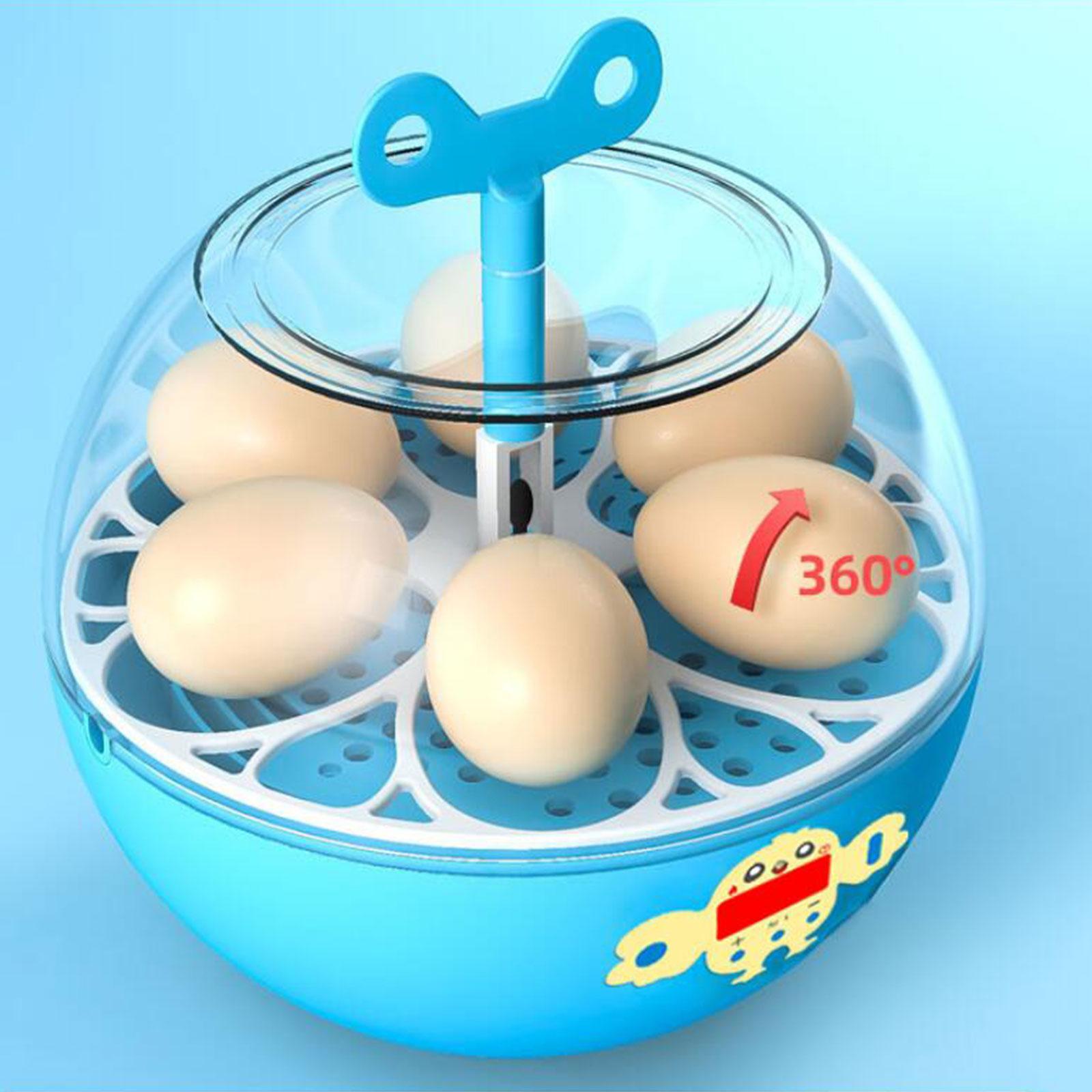 6 Eieren Incubator Mini Zichtb - Quail Egg Incubator recensie en prijs