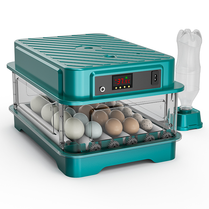 Volledig Automatische Kippen-, - Quail Egg Incubator recensie en prijs