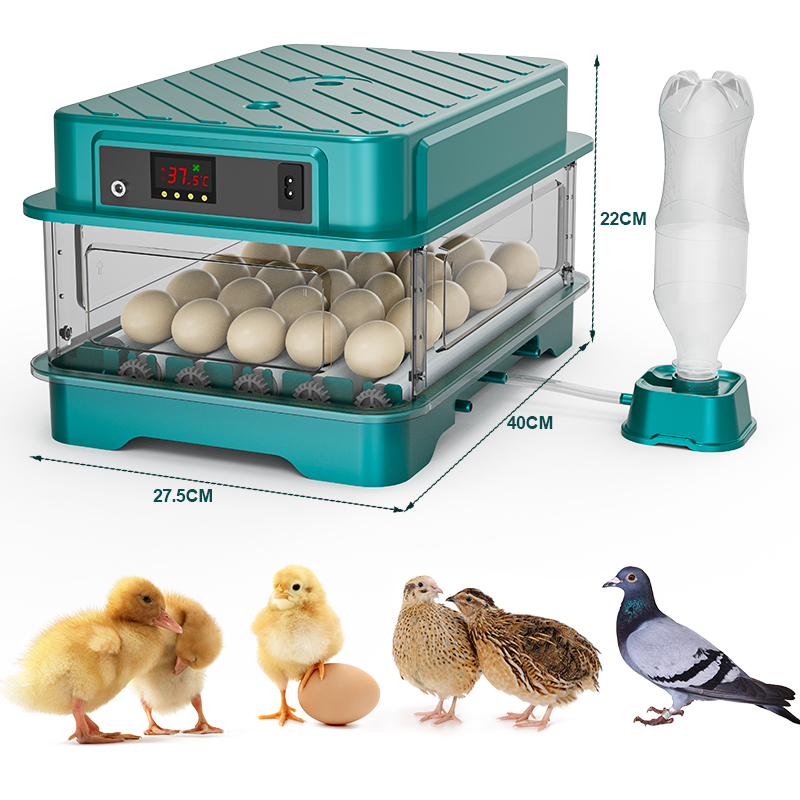 Volledig Automatische Kippen-, - Quail Egg Incubator recensie en prijs