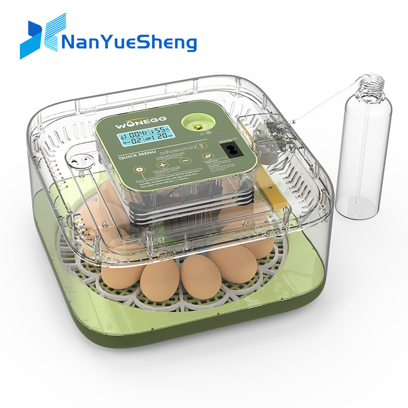 Nieuwe 12 Kuiken Ei Broederij  - Quail Egg Incubator recensie en prijs
