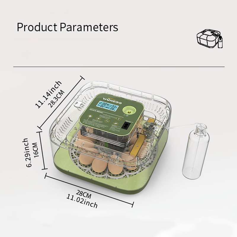Nieuwe 12 Kuiken Ei Broederij  - Quail Egg Incubator recensie en prijs