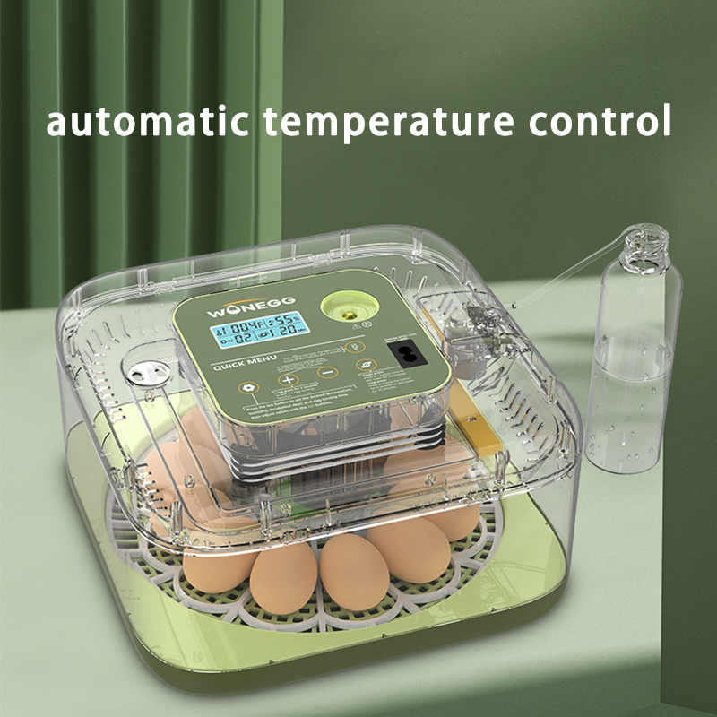 Nieuwe 12 Kuiken Ei Broederij  - Quail Egg Incubator recensie en prijs