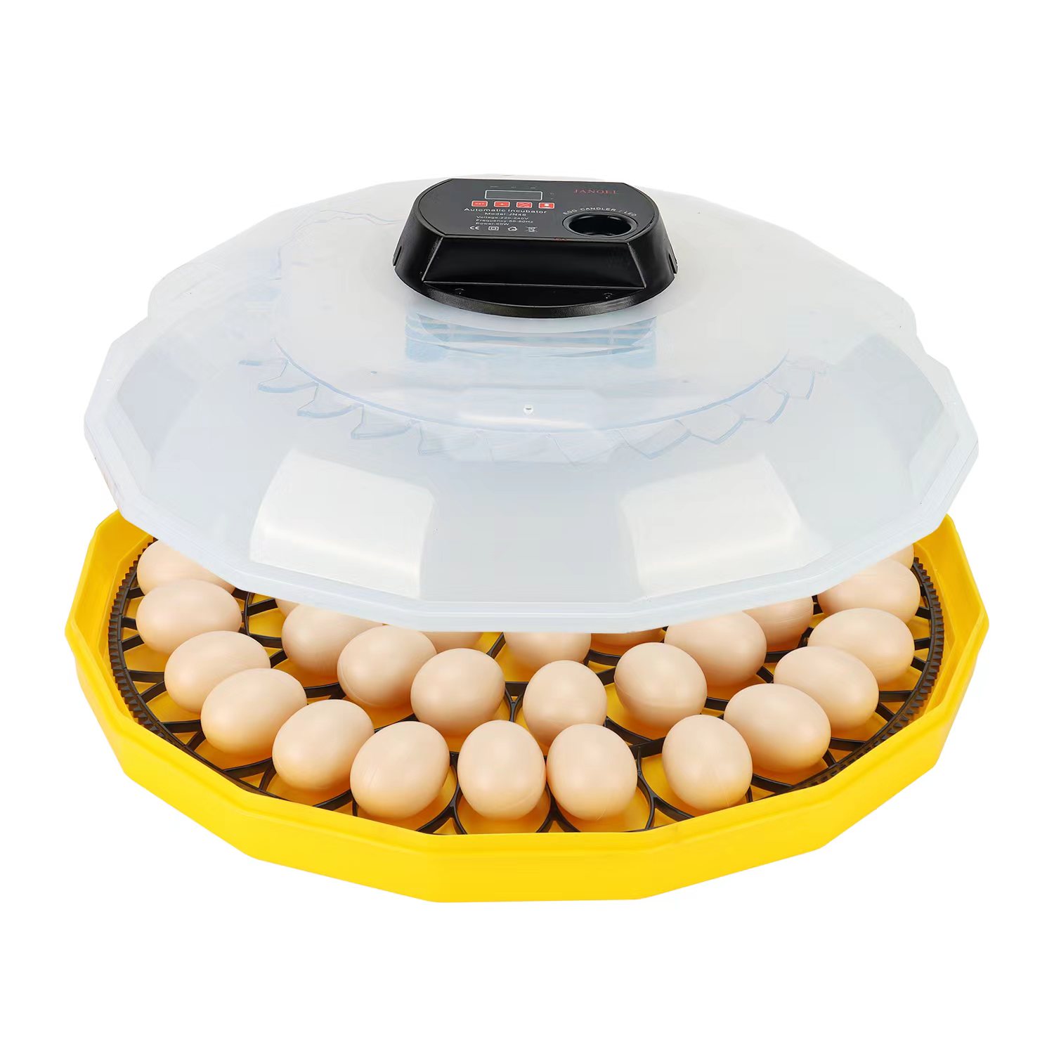 Mini-ei-incubator met 99% uitk - Quail Egg Incubator recensie en prijs