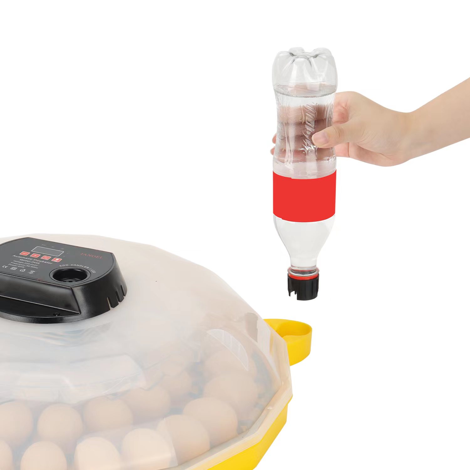 Mini-ei-incubator met 99% uitk - Quail Egg Incubator recensie en prijs
