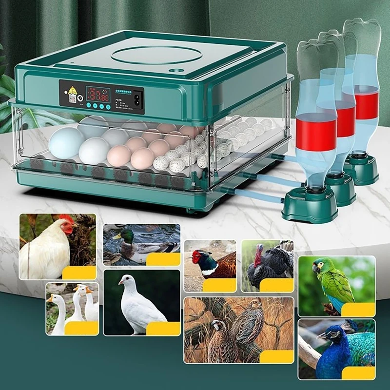 12 24 38 Eieren Incubator Auto - Quail Egg Incubator recensie en prijs