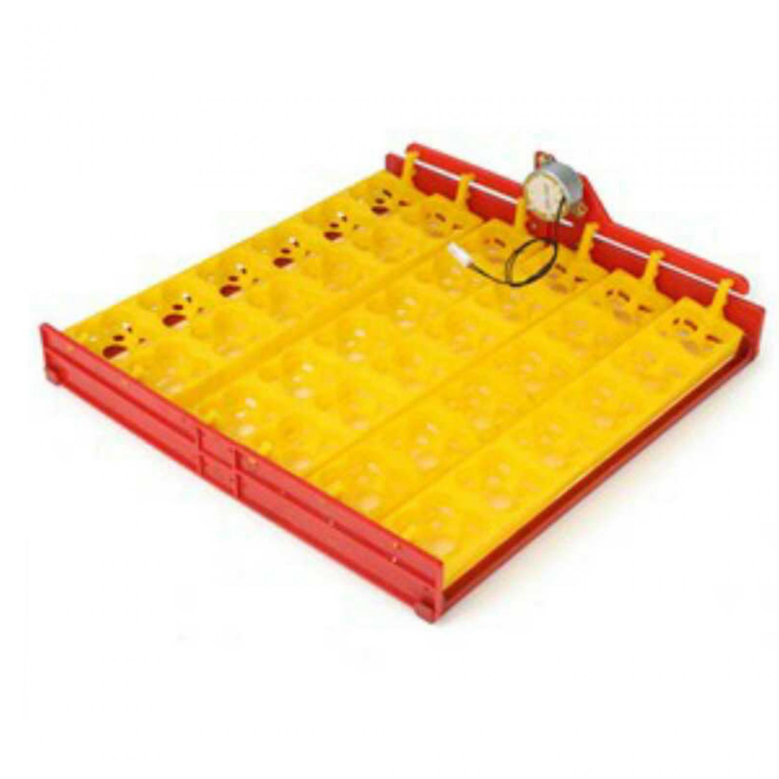 Ei-incubatietray van plastic m - Quail Egg Incubator recensie en prijs