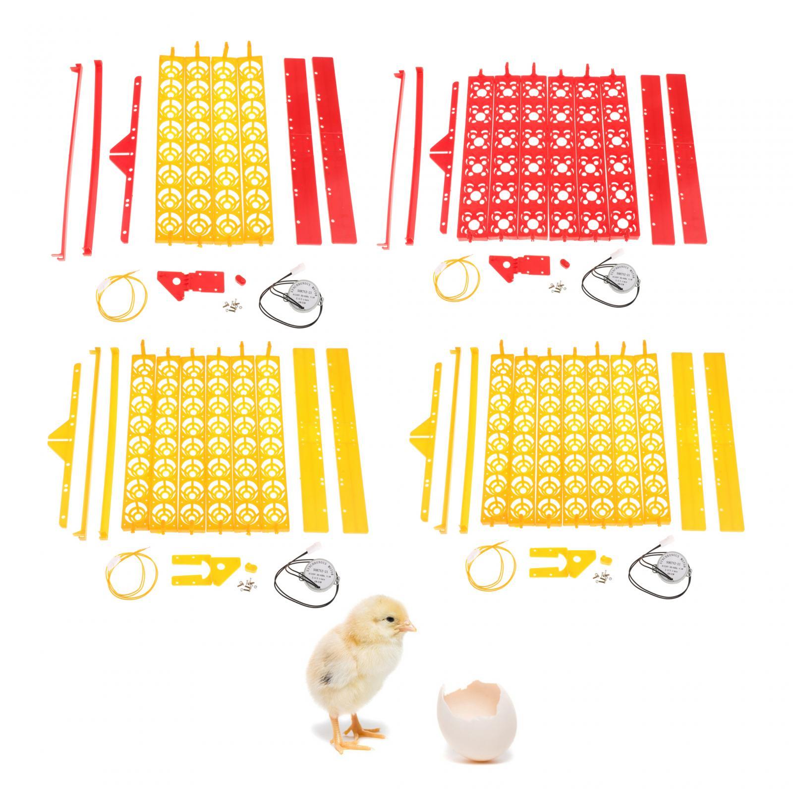 Ei-incubatietray van plastic m - Quail Egg Incubator recensie en prijs